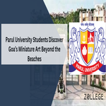 Parul University Students Discover Goa Miniature Art Beyond the Beaches